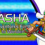 Asha in Smash Bros Crusade!