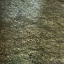 spider web texture 01