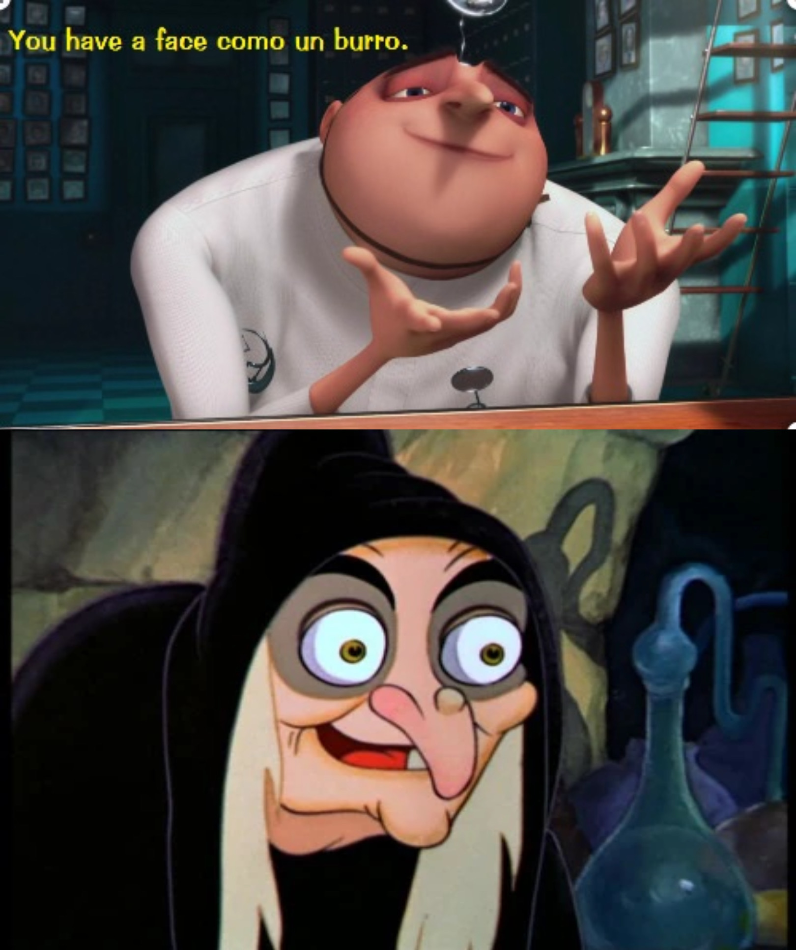 Gru says The Witch has a Face like a Donkey by Disneyfan3000 on