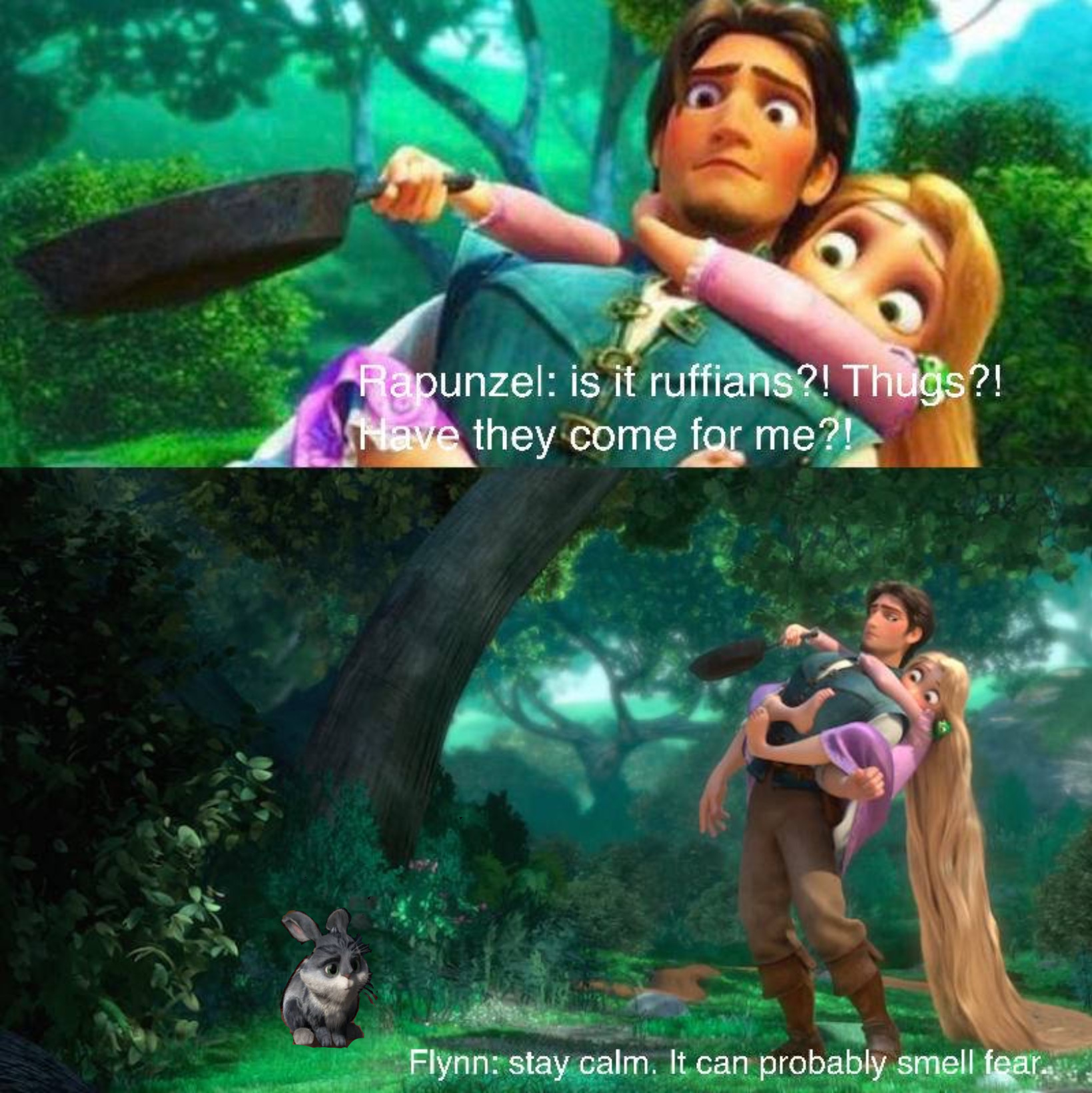 Rapunzel As Rabbit Bunny meets Rapunzel and Flynn by Disneyfan3000 on DeviantArt