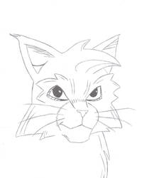 Graystripe