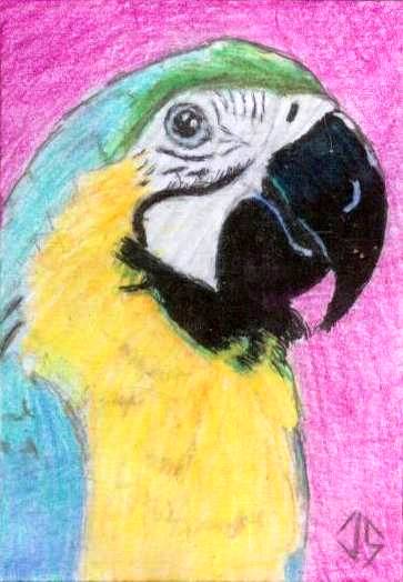 Sketch Card: Island Dreams - 9