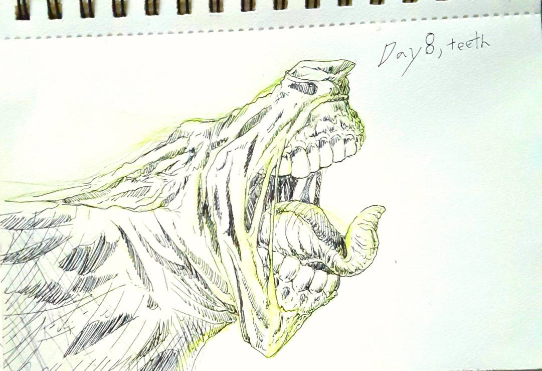 teeth by Vortoox on DeviantArt