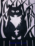 black and white cat by essencestudios