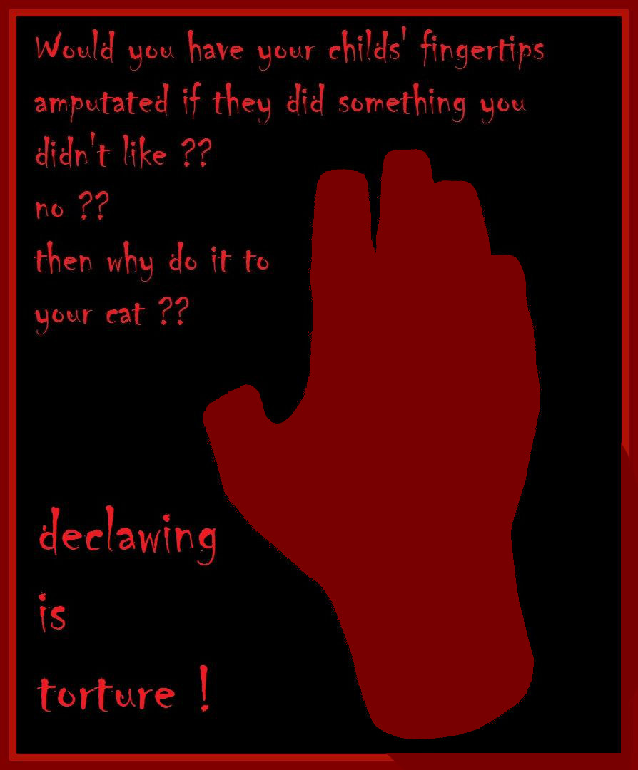 Declawing is torture