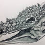 Dracorex