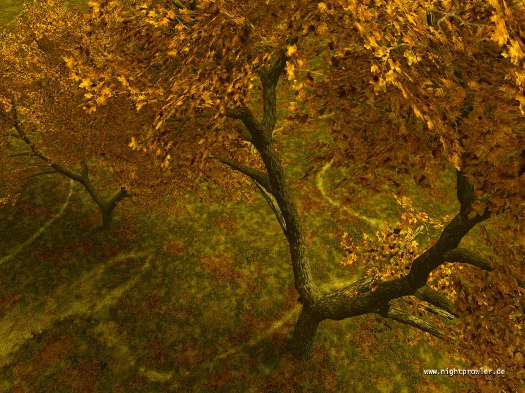 springstars14 - Artist | DeviantArt