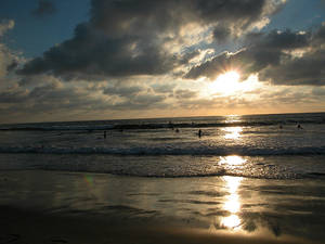 Surfers at Sunset in San Diego