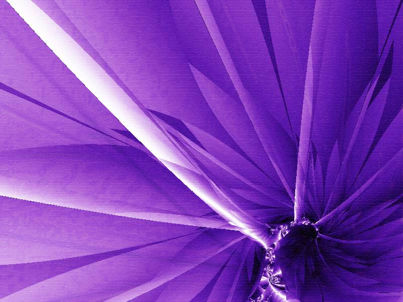 The Purple Flower