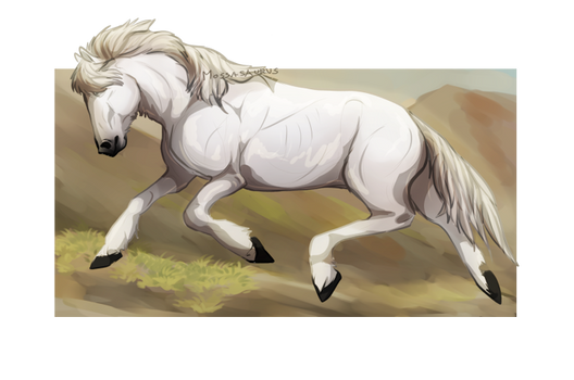Ponyhorse