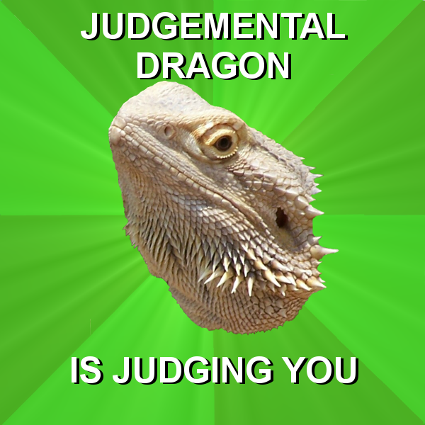 Bearded Dragon Meme By Easter Hare On Deviantart Bearded Dragon Meme By Easter Hare On Deviantart