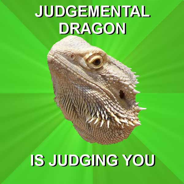 Bearded Dragon Meme