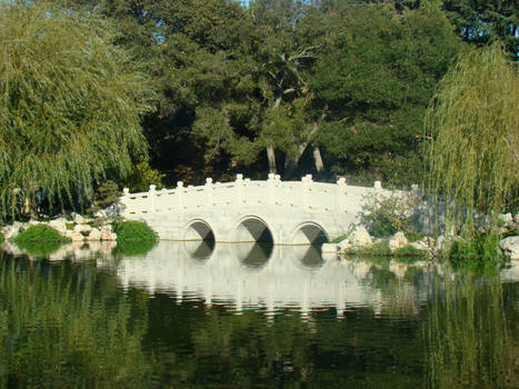 Bridge Reflection