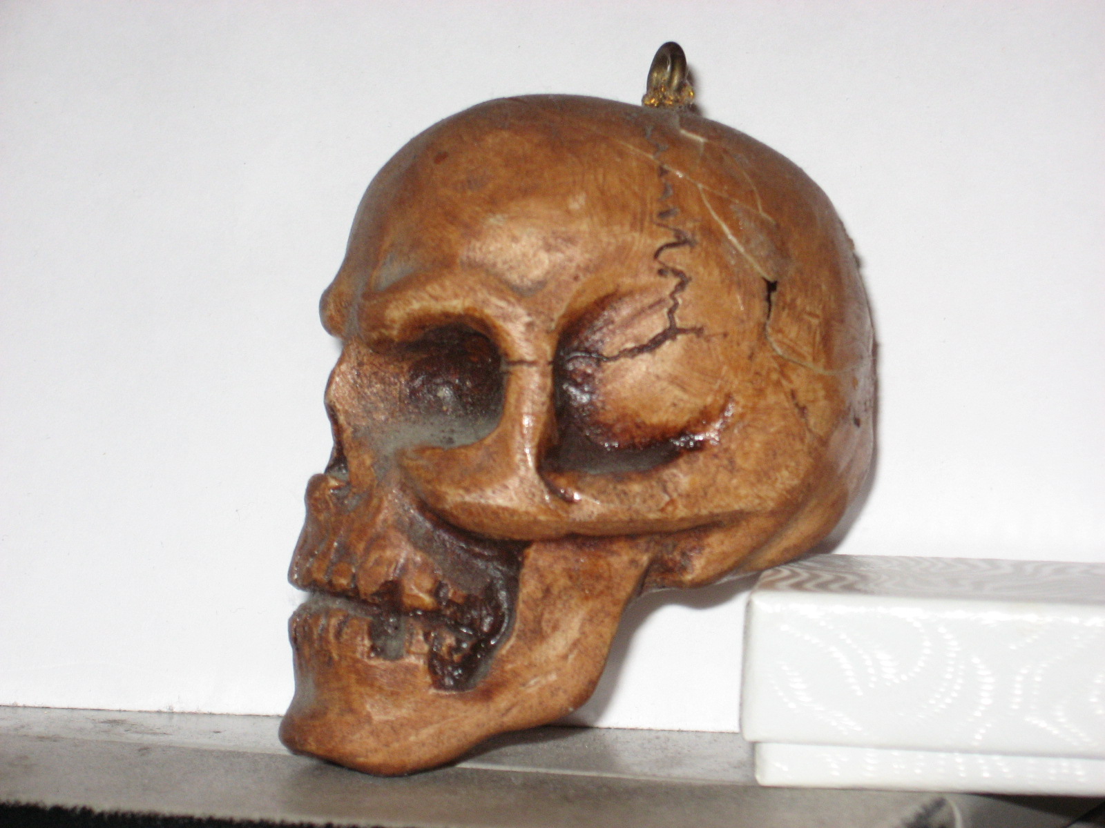 Brown Skull 1