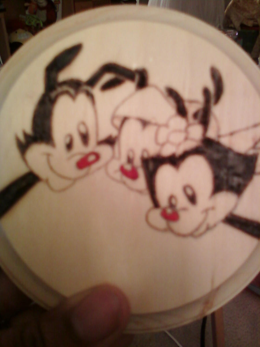 Animaniacs coaster