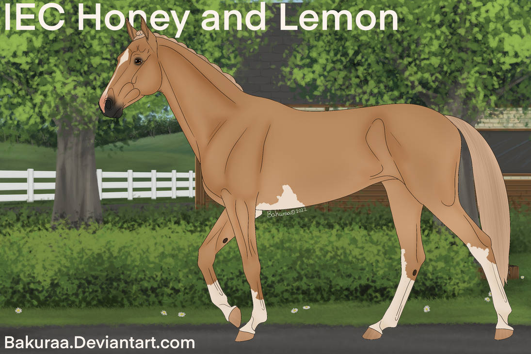 IEC Honey and Lemon