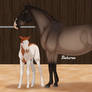 Traaker Foal Program - Arena time with Mummy