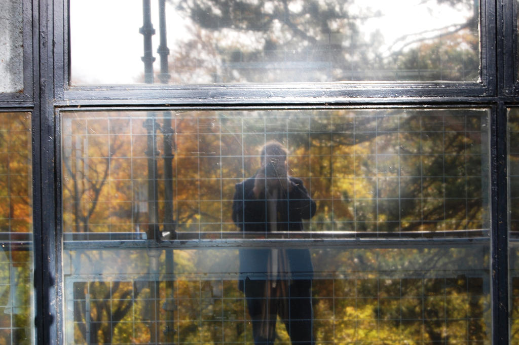 Bad Reflection Bad Reflection in a Good area by lifeforceinsoul on DeviantArt