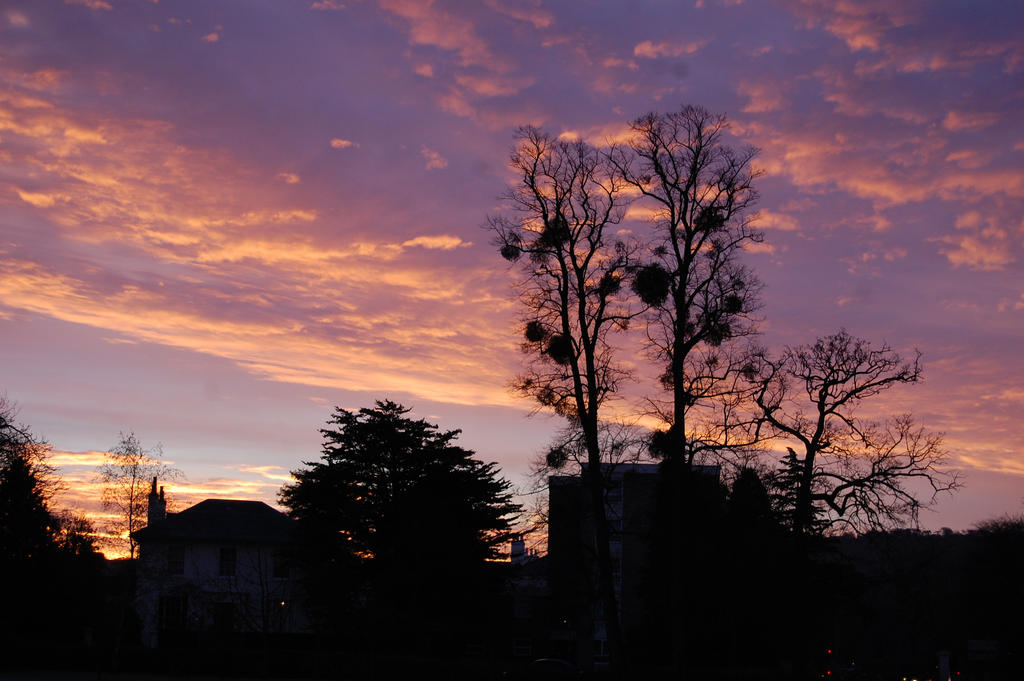 One Harlem morning in chelt