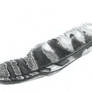 Feather