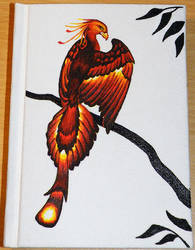 Phoenix book