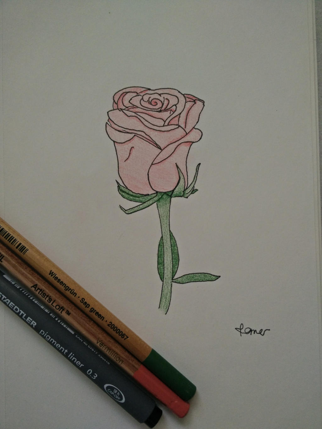 Rose