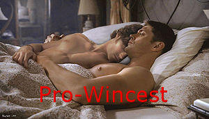 Pro Wincest