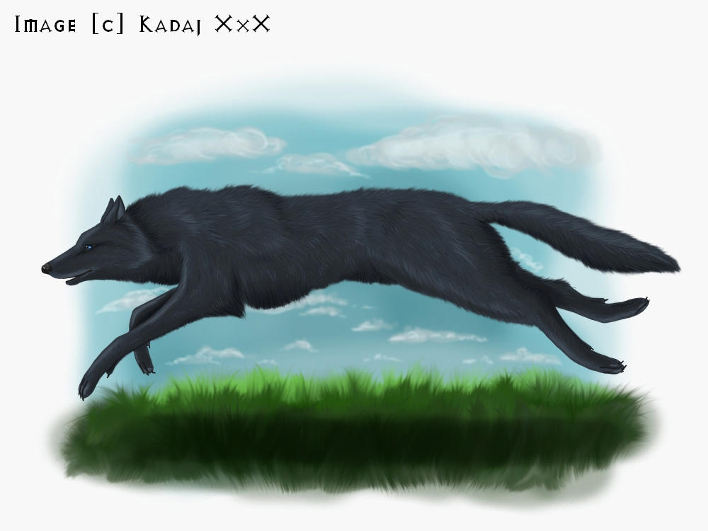 Wolf's Rain: Blue Wolf by AvareonArt on DeviantArt
