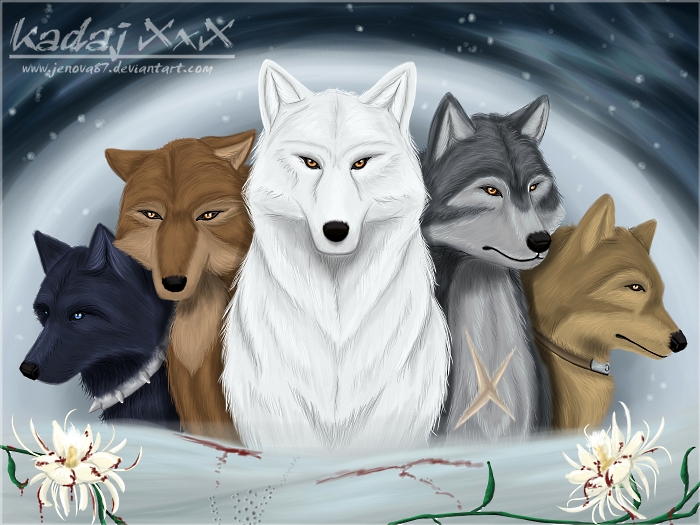 Wolf's Rain: The Pack