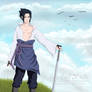 Naruto: Sasuke