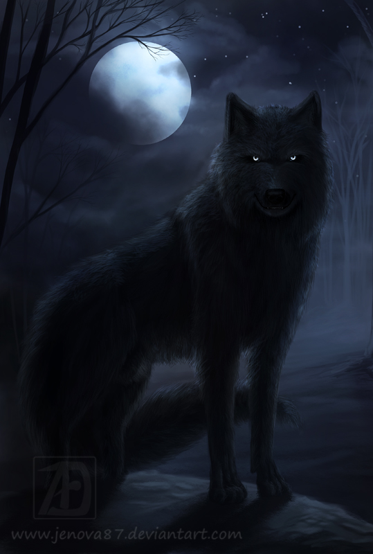 OC: Dark Wolf Kai