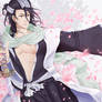 Bleach: Byakuya