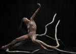 Woman on a branch by JREKAS
