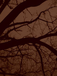 Sepia Tree