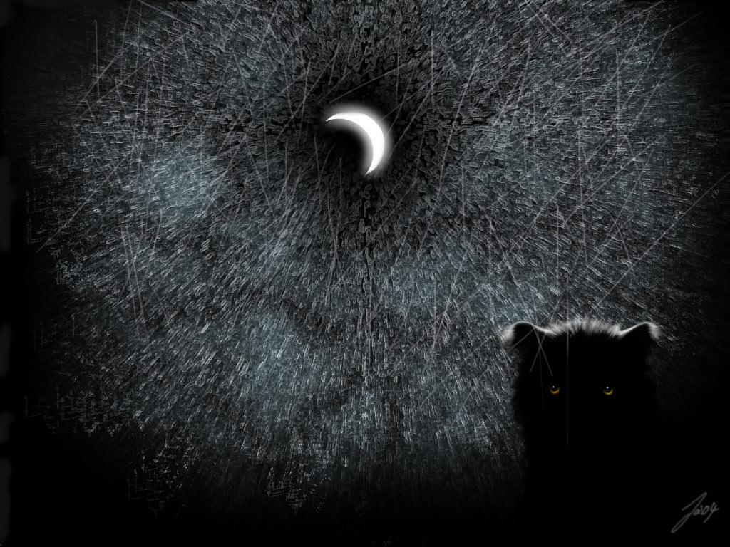 .. weird cat in the moonlight