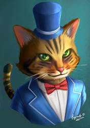 Leon the Gentlemen Cat