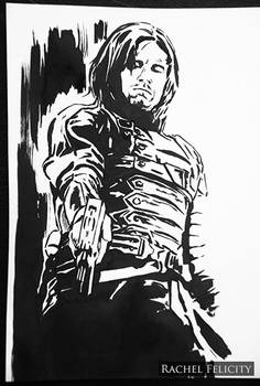 The Winter Soldier