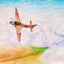 Cloud patrol