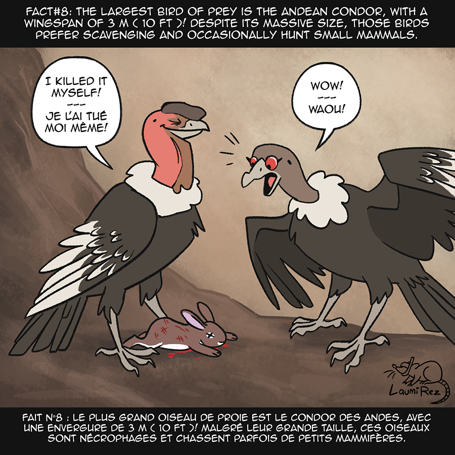 Condor Stomp Cartoon Andean Condor Cartoon