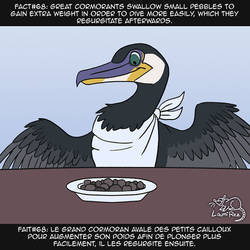 Fact #68: Cormorant by LaumiRezArt