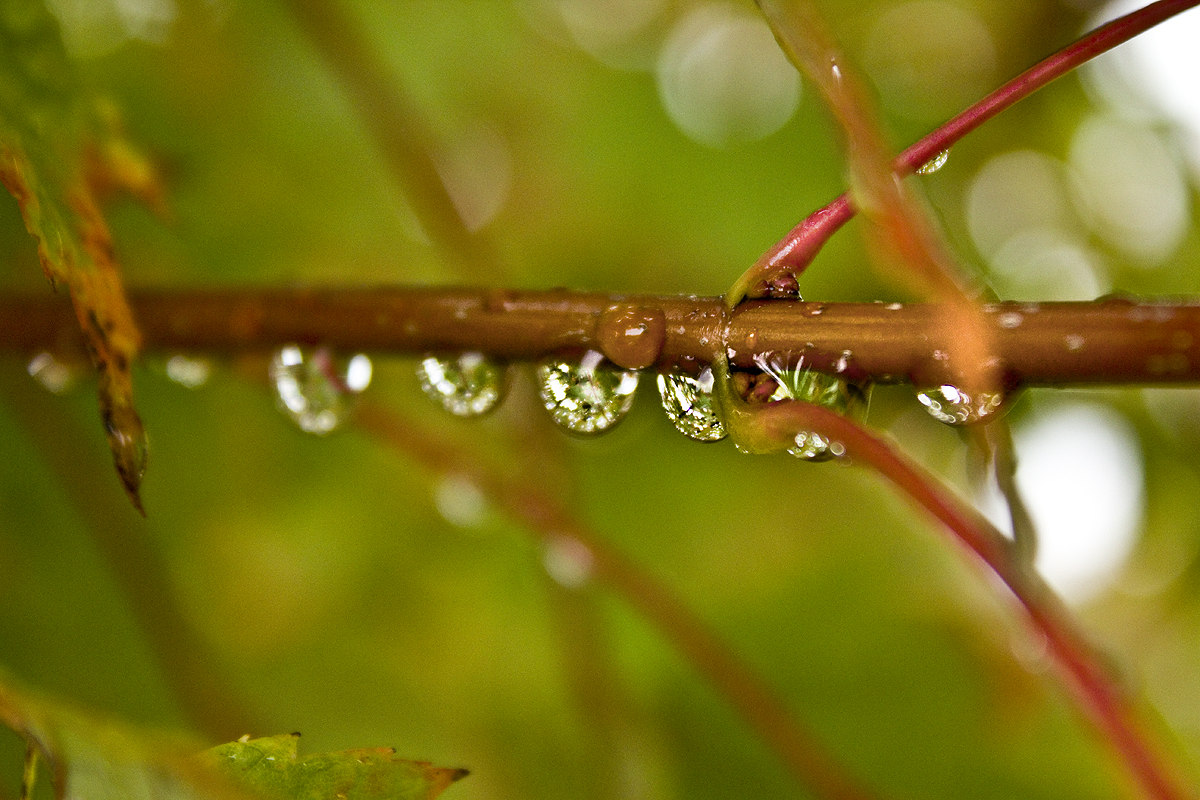 Water Droplets2