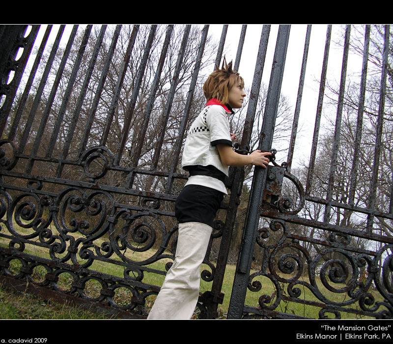 The Mansion Gates