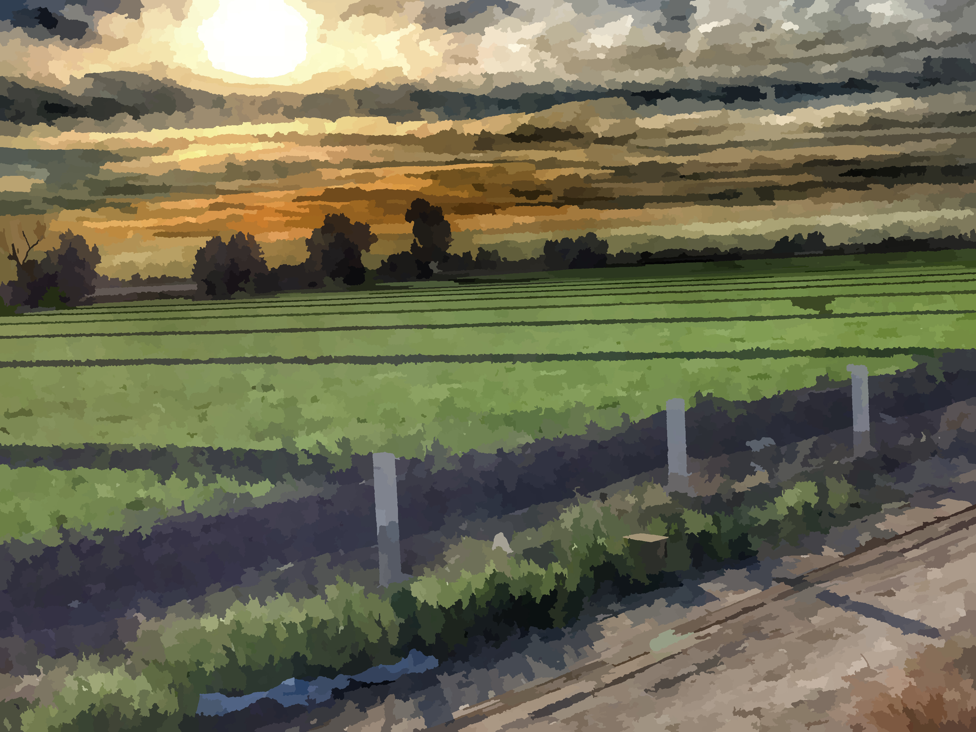 Valle-mexicali-parcelas