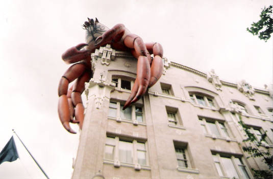 The building crabs