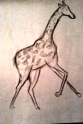 Giraffe running life drawing