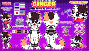 Ginger (Fursona) Reference