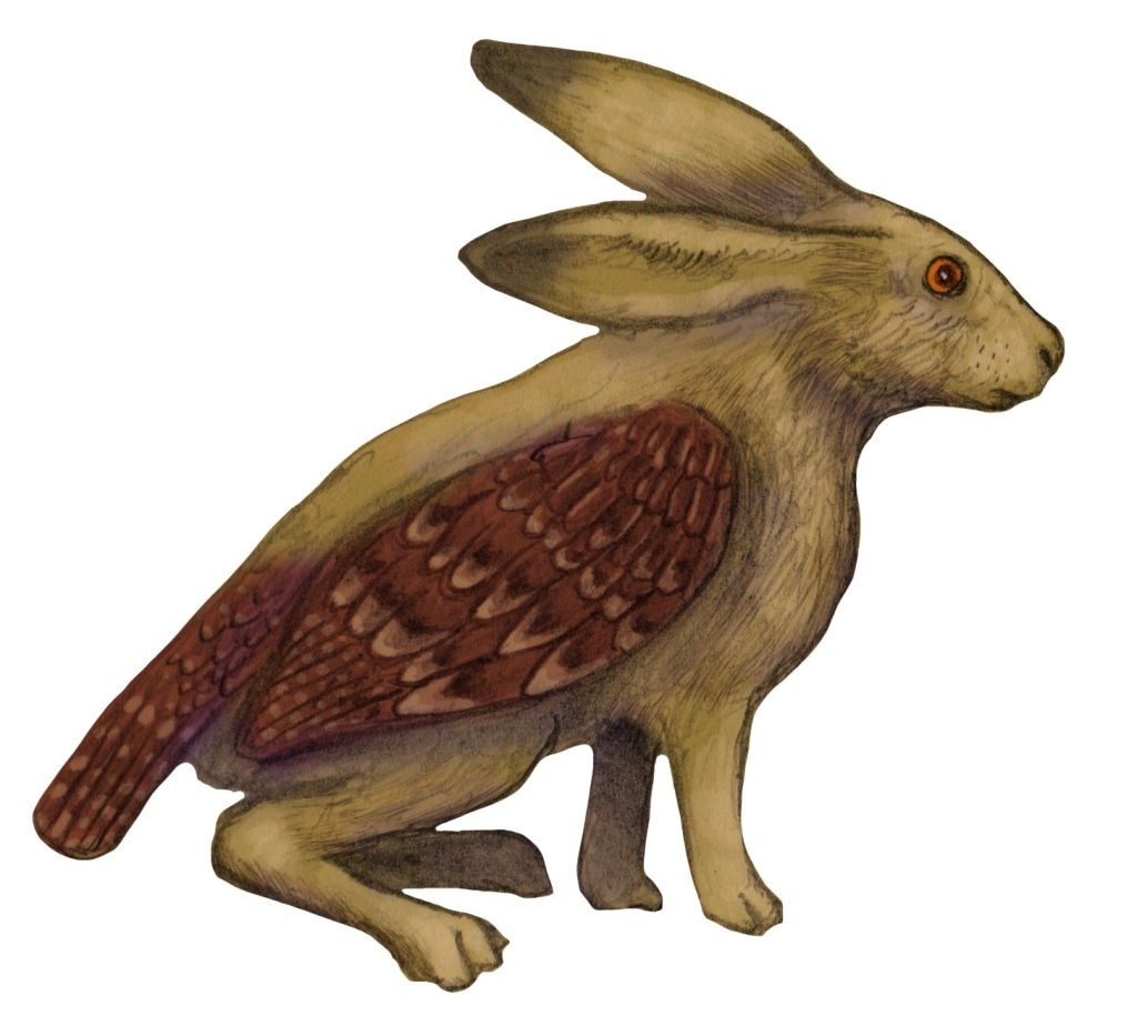 Skvader Svg Ellison's Cryptids: Skvader by cmfsnarf on DeviantArt