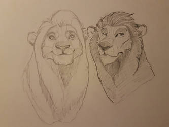 Mufasa and Scar style test sketch