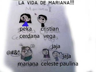 la vida de mary