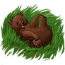Fuzzy wuzzy widdle bear